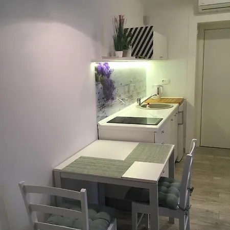 Apartament Studio Veranda 10m From The Sea Opatija